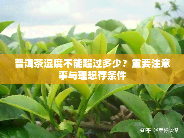 普洱茶湿度不能超过多少？重要注意事与理想存条件