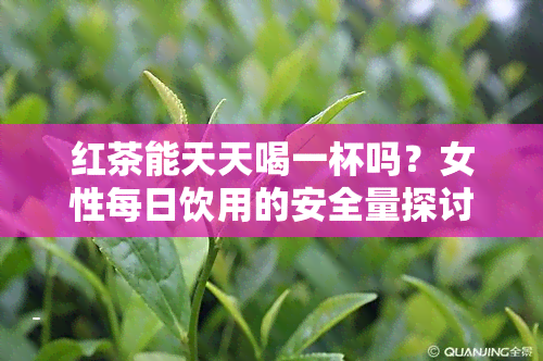 红茶能天天喝一杯吗？女性每日饮用的安全量探讨