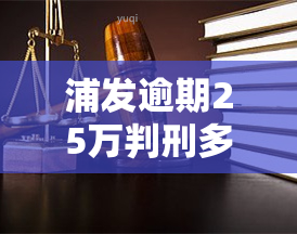 浦发逾期25万判刑多少年，浦发银行25万元欠款逾期未还，可能面临何种刑事处罚？