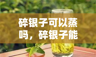 碎银子可以蒸吗，碎银子能蒸吗？探究其可行性与可能的影响