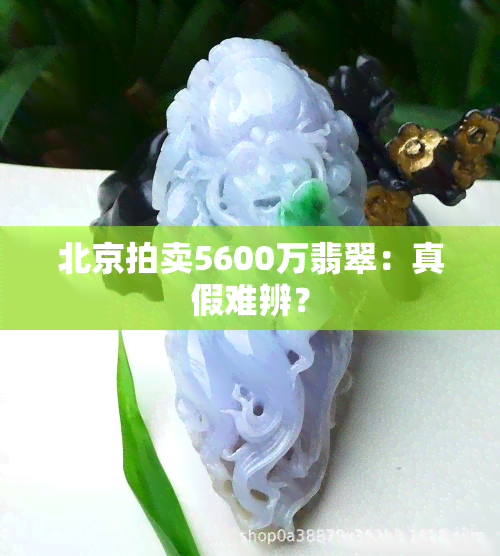 北京拍卖5600万翡翠：真假难辨？