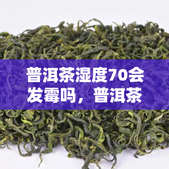 普洱茶湿度70会发霉吗，普洱茶湿度70%会导致发霉吗？你需要知道的湿度控制知识