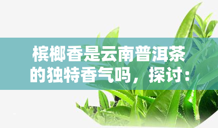 槟榔香是云南普洱茶的独特香气吗，探讨：槟榔香是否为云南普洱茶的特有香气？