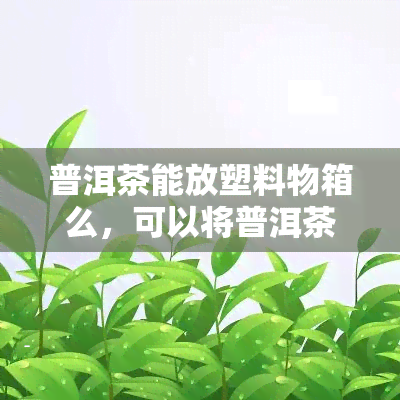 普洱茶能放塑料物箱么，可以将普洱茶存放在塑料物箱中吗？