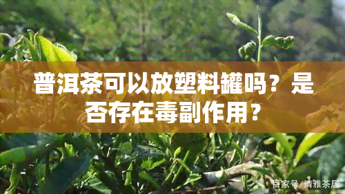 普洱茶可以放塑料罐吗？是否存在副作用？