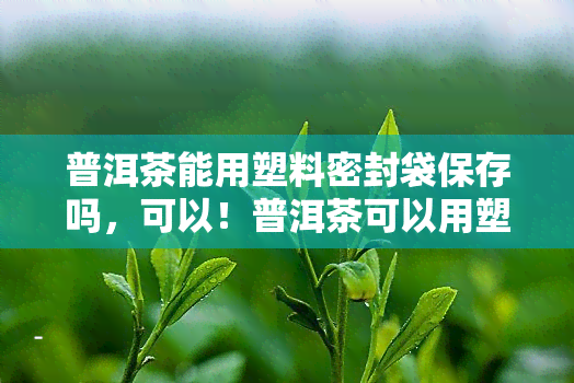 普洱茶能用塑料密封袋保存吗，可以！普洱茶可以用塑料密封袋进行保存