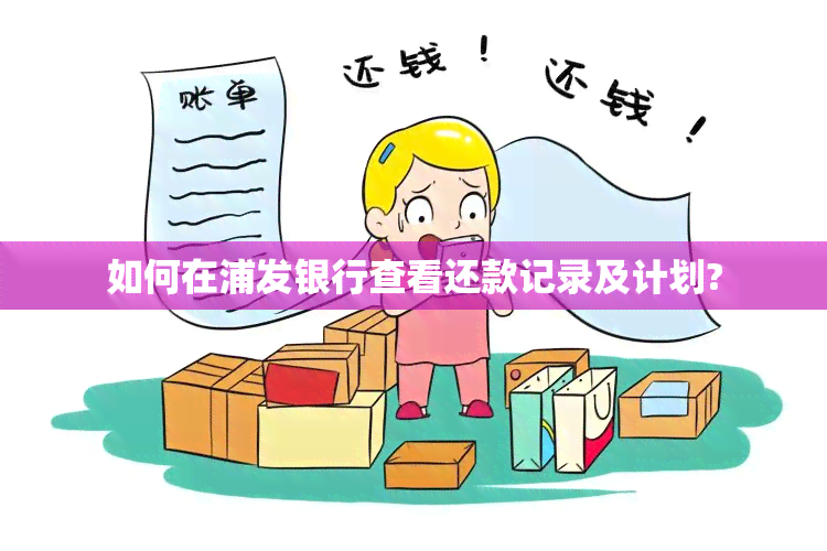 如何在浦发银行查看还款记录及计划?