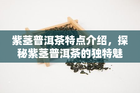 紫茎普洱茶特点介绍，探秘紫茎普洱茶的独特魅力与特性