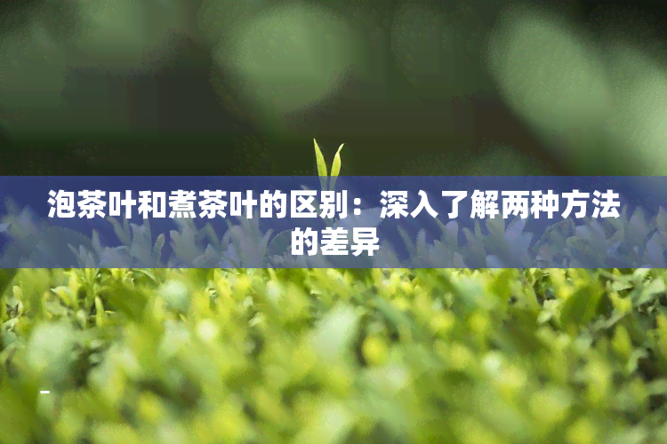 泡茶叶和煮茶叶的区别：深入了解两种方法的差异