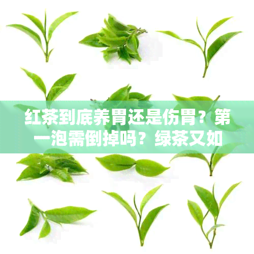 红茶到底养胃还是伤胃？之一泡需倒掉吗？绿茶又如何？