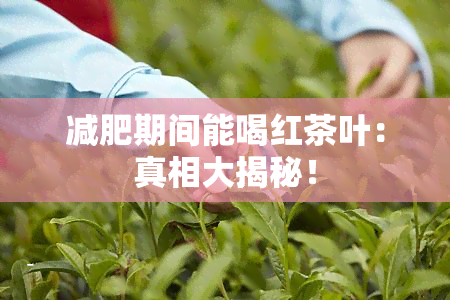 减肥期间能喝红茶叶：真相大揭秘！