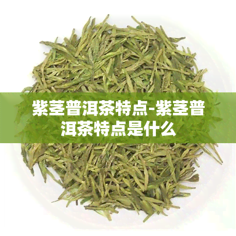 紫茎普洱茶特点-紫茎普洱茶特点是什么