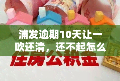 浦发逾期10天让一吹还清，还不起怎么办？全额还款还是只还本期？影响几何？