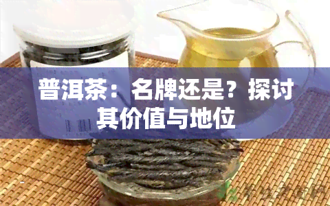 普洱茶：名牌还是？探讨其价值与地位