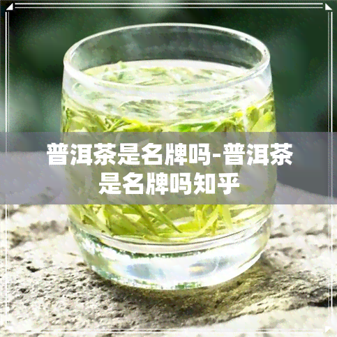 普洱茶是名牌吗-普洱茶是名牌吗知乎