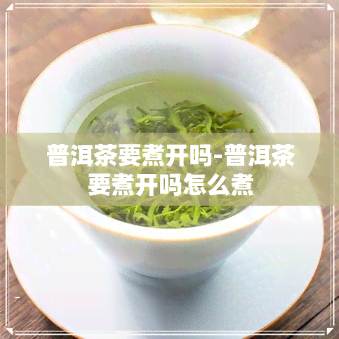 普洱茶要煮开吗-普洱茶要煮开吗怎么煮