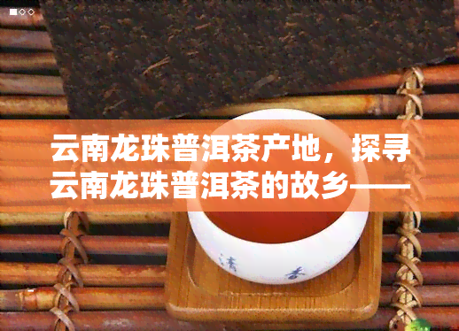 云南龙珠普洱茶产地，探寻云南龙珠普洱茶的故乡——产地揭秘