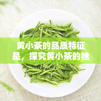 黄小茶的品质特征是，探究黄小茶的独特品质特征