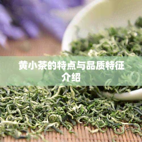 黄小茶的特点与品质特征介绍