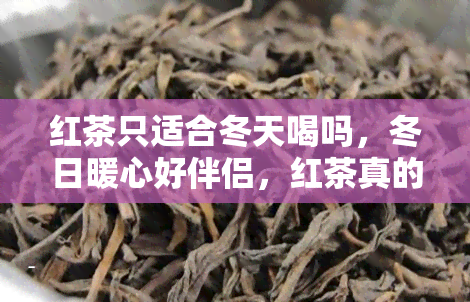 红茶只适合冬天喝吗，冬日暖心好伴侣，红茶真的只适合冬天喝吗？