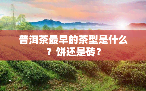 普洱茶最早的茶型是什么？饼还是砖？