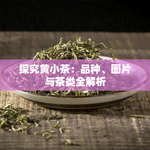 探究黄小茶：品种、图片与茶类全解析