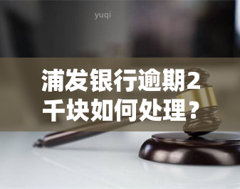 浦发银行逾期2千块如何处理？请看解决方案！