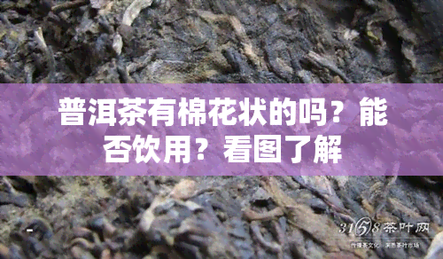 普洱茶有棉花状的吗？能否饮用？看图了解