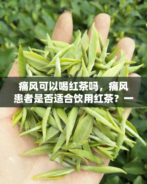 痛风可以喝红茶吗，痛风患者是否适合饮用红茶？一份全面的解析