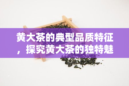 黄大茶的典型品质特征，探究黄大茶的独特魅力：其典型品质特征解析