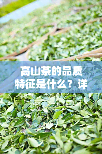 高山茶的品质特征是什么？详解其特点与优势