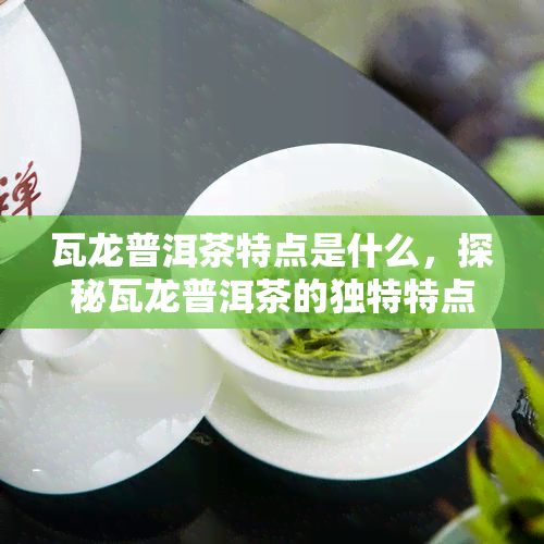 瓦龙普洱茶特点是什么，探秘瓦龙普洱茶的独特特点