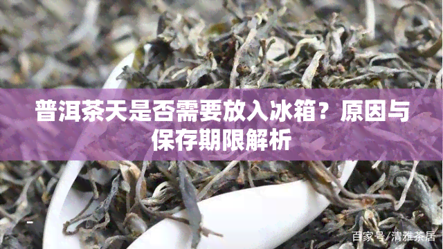 普洱茶天是否需要放入冰箱？原因与保存期限解析