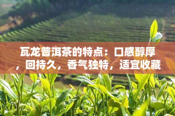 瓦龙普洱茶的特点：口感醇厚，回持久，香气独特，适宜收藏。