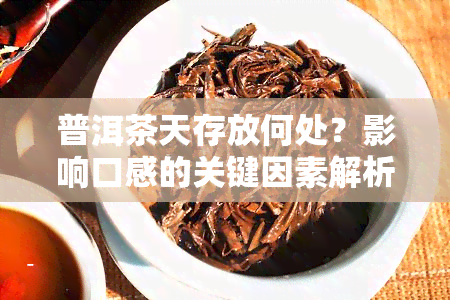 普洱茶天存放何处？影响口感的关键因素解析