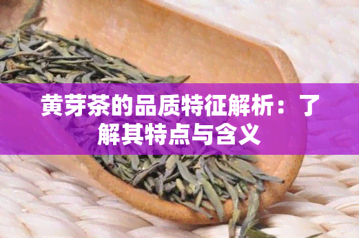 黄芽茶的品质特征解析：了解其特点与含义