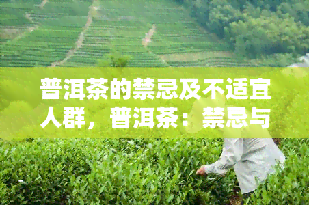 普洱茶的禁忌及不适宜人群，普洱茶：禁忌与不适宜人群一览