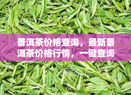 普洱茶价格查询，最新普洱茶价格行情，一键查询！