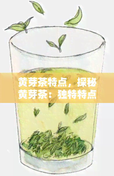 黄芽茶特点，探秘黄芽茶：独特特点解析