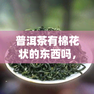 普洱茶有棉花状的东西吗，揭秘普洱茶：你所不知道的棉花状物质是什么？