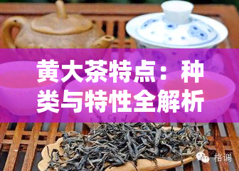 黄大茶特点：种类与特性全解析