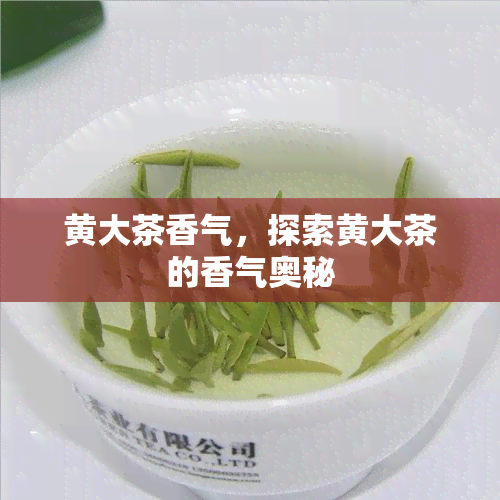 黄大茶香气，探索黄大茶的香气奥秘