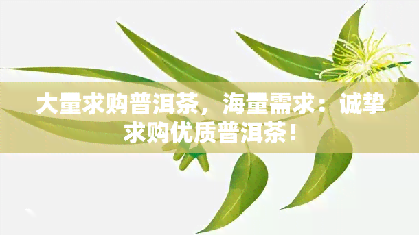 大量求购普洱茶，海量需求：诚挚求购优质普洱茶！