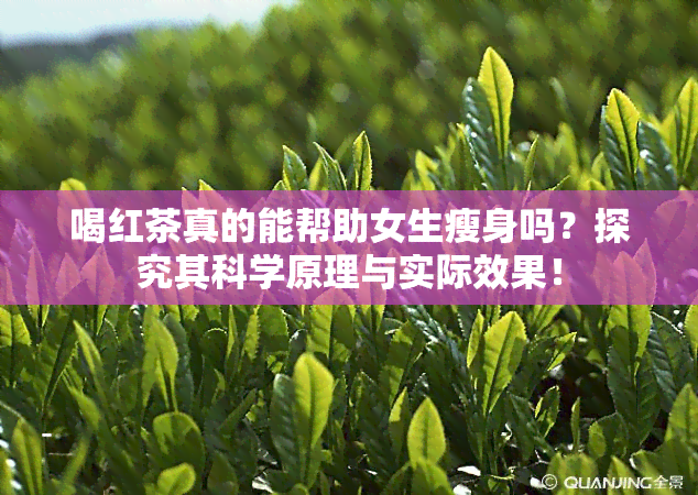 喝红茶真的能帮助女生瘦身吗？探究其科学原理与实际效果！