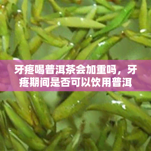 牙疼喝普洱茶会加重吗，牙疼期间是否可以饮用普洱茶？可能会加重症状吗？