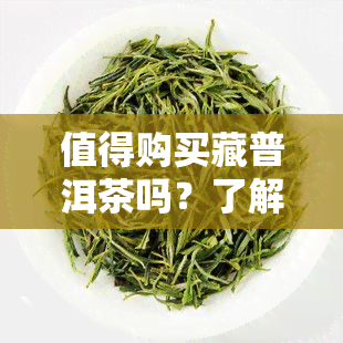 值得购买藏普洱茶吗？了解其价值与收藏意义