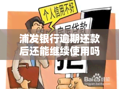 浦发银行逾期还款后还能继续使用吗？逾期几天需全额还款，如何处理逾期情况？无法偿还时可以申请分期吗？