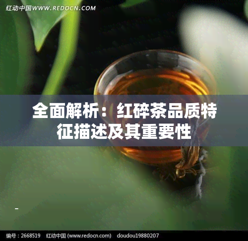 全面解析：红碎茶品质特征描述及其重要性