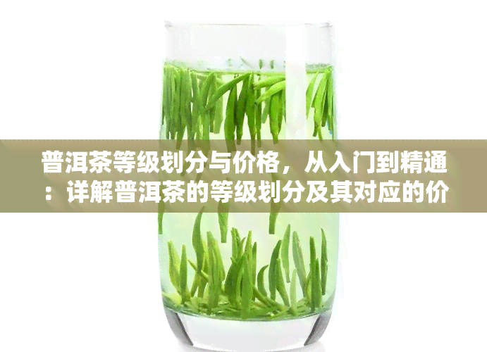 普洱茶等级划分与价格，从入门到精通：详解普洱茶的等级划分及其对应的价格