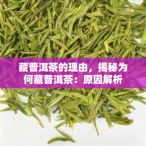 藏普洱茶的理由，揭秘为何藏普洱茶：原因解析